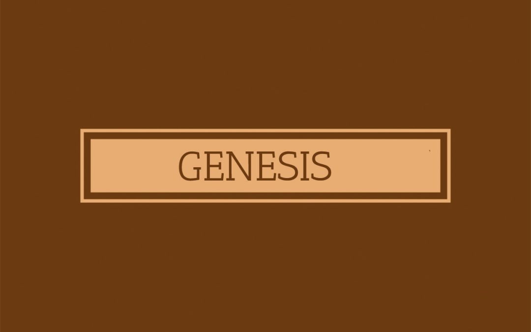 Teachings on Genesis